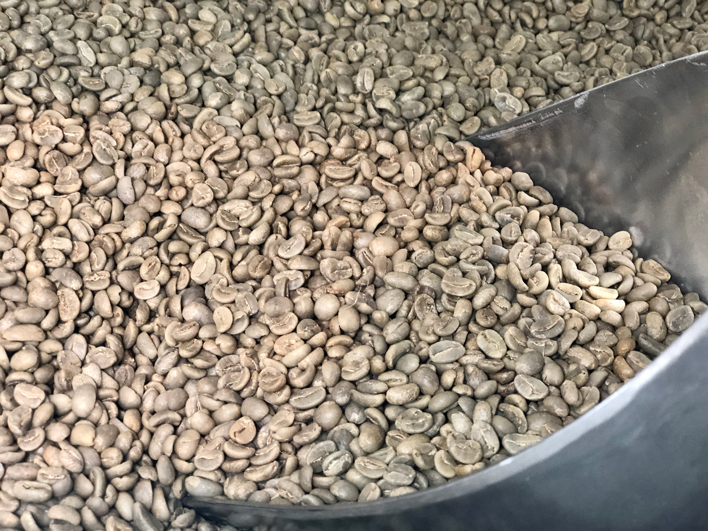 *Green* Beans: Peru Hard Bean - (SHB G1 FTO)